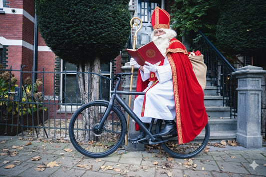 Van Moof S3  Tweedehands, professioneel gerestaureerd